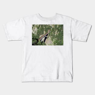 high above a bridge Kids T-Shirt